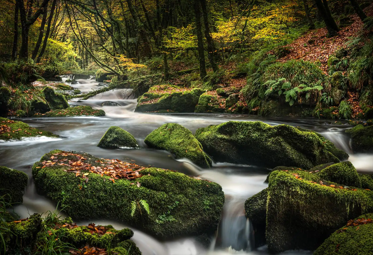 The River Fowey cascades through a vibrant forest, with rocks and trees lining its banks at Golitha Falls, Cornwall, a great outdoor family day out in Cornwall.