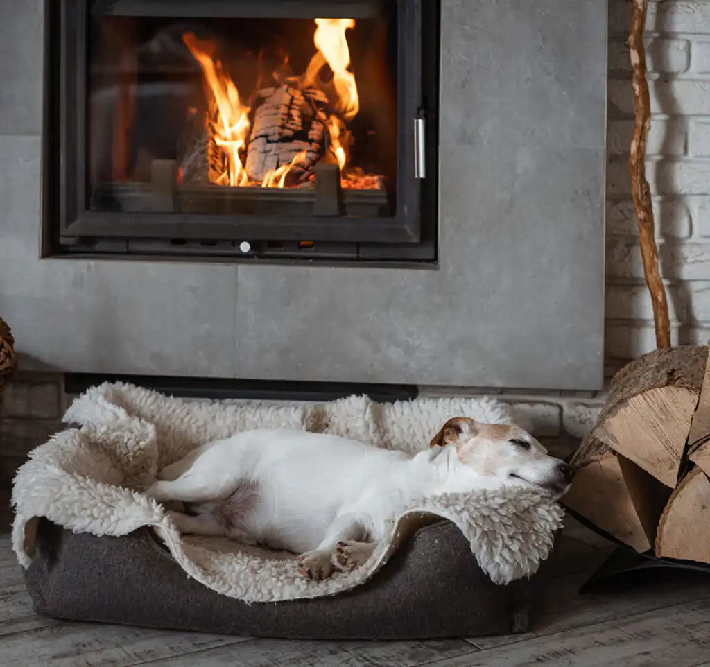 Wood Burners